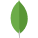 MongoDB